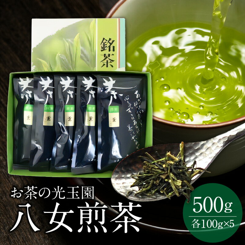 【ふるさと納税】【お茶の光玉園】八女煎茶 100g×5本セット お茶 煎茶 緑茶 茶葉 八女茶 ギフト プレゼント 手土産 贈答用