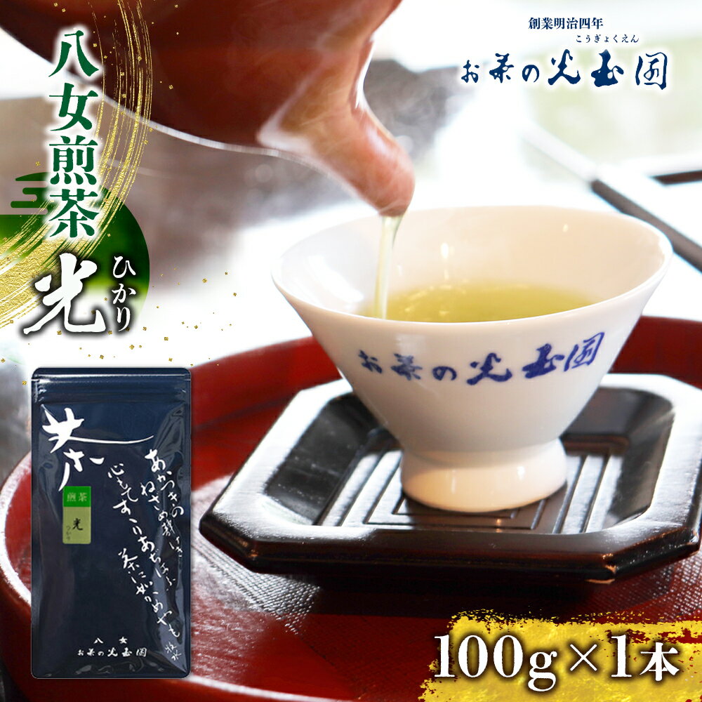 【ふるさと納税】＜八女茶＞　お茶の光玉園　煎茶「光（ひかり）」100g【メール便】 お茶 煎茶 緑茶 八女茶 福岡 茶葉 ご家庭用のサムネイル