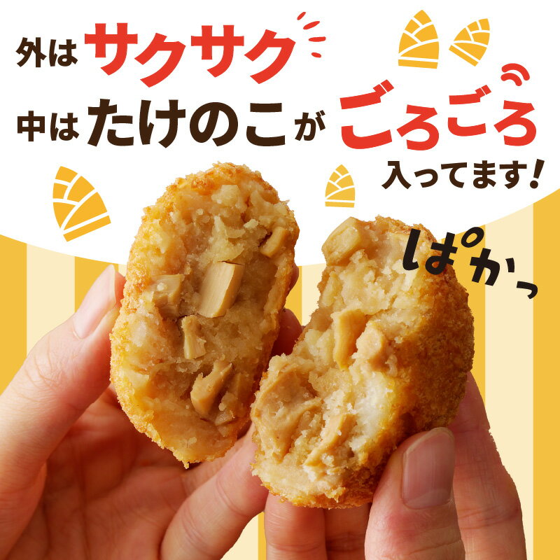 福岡県八女市の画像3