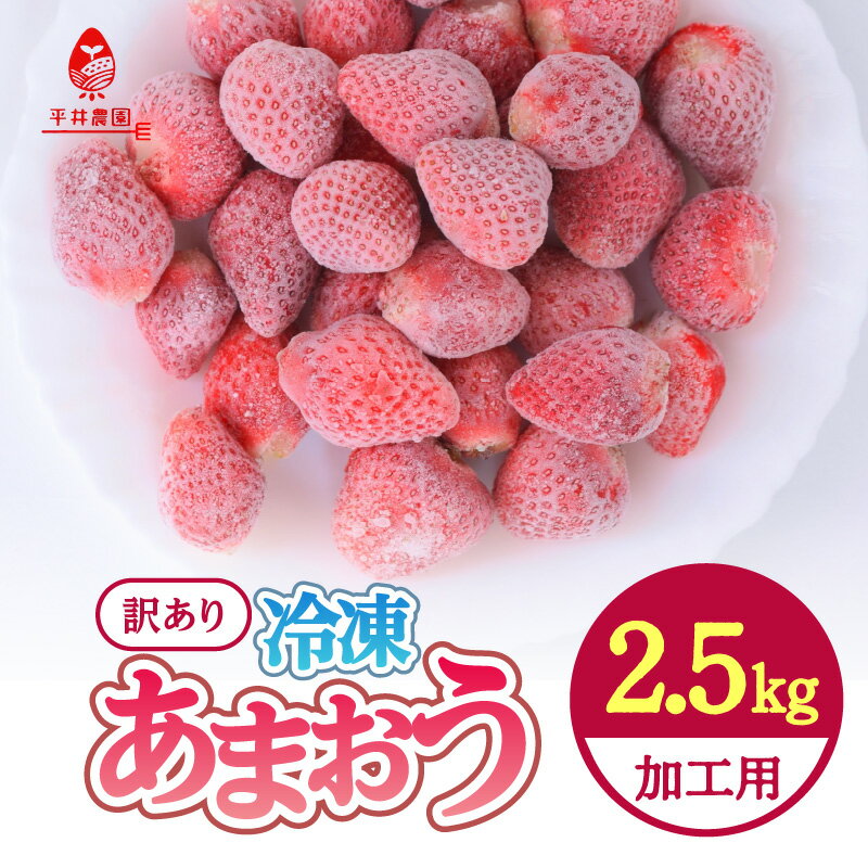 【ふるさと納税】訳あり！加工用！冷凍あまおう たっぷり2.5kg いちご 完熟 イチゴ 苺 シャーベット ス..