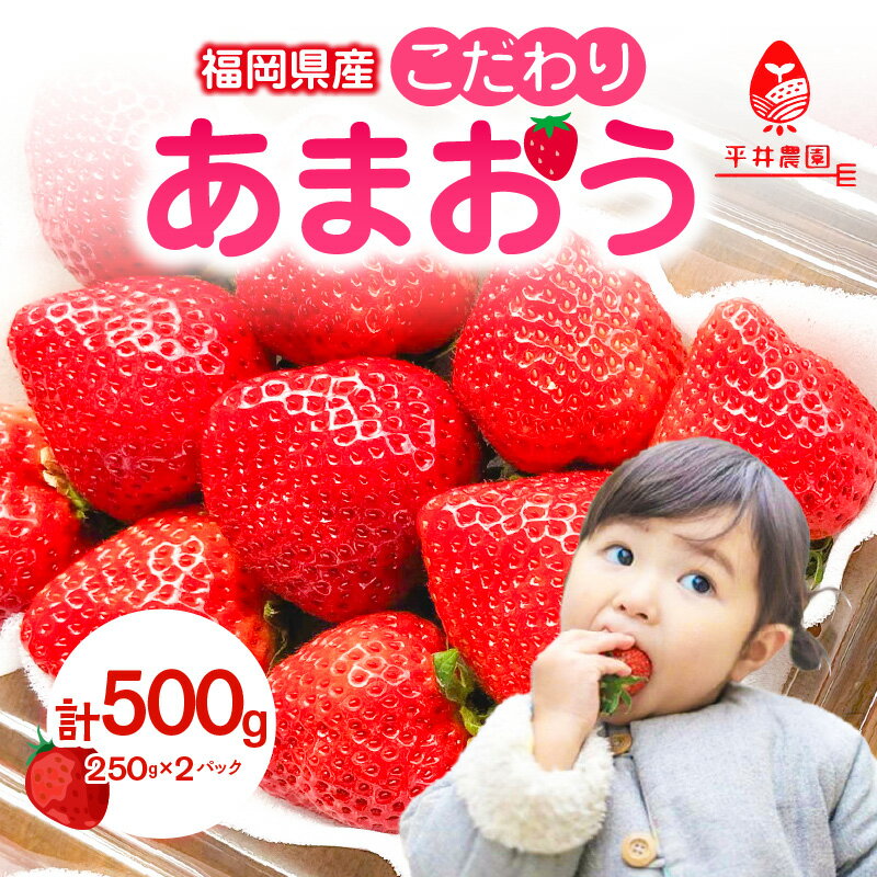 14位! 口コミ数「0件」評価「0」こだわりあまおう 250g×2パック（合計500g）｜2024年12月～順次発送＜ひらい観光農園＞ いちご 苺 産地直送 あまおう