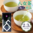 【ふるさと納税】八女茶 極上煎茶100g 選べる個数(2袋・3袋) 八女茶 煎茶 緑茶 極上 福岡県産