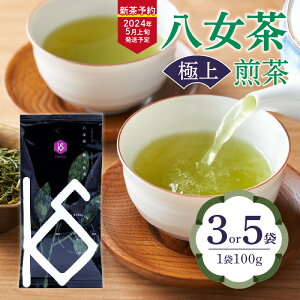 【ふるさと納税】【2024年新茶予約】八女茶 極上煎茶100g 選べる個数（3袋・5袋）【2024年5月上旬発送予定】 茶 お茶 八女茶 新茶 煎茶