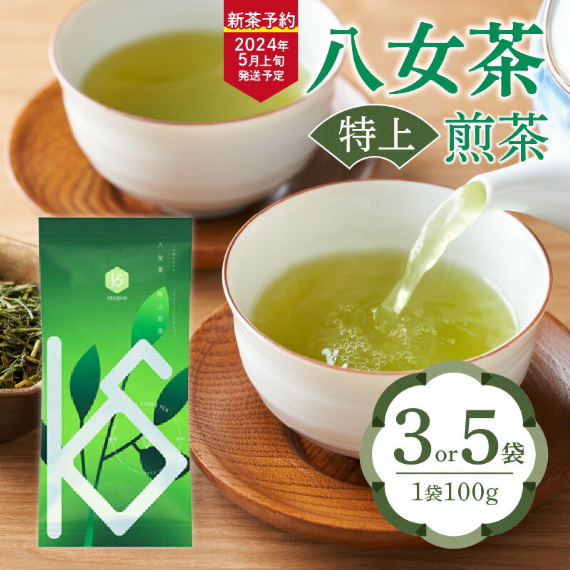 【ふるさと納税】【2024年新茶予約】八女茶 特上煎茶 100g 選べる個数（3袋・5袋）【2024年5月上旬発送予定】 お茶 茶 八女茶 新茶 煎茶