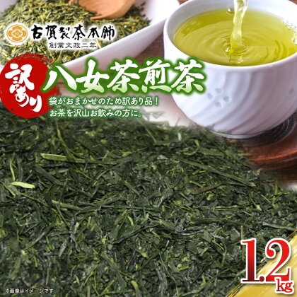 古賀製茶本舗 訳ありご家庭用八女茶煎茶 どどんと1.2キロ　お茶 八女茶 緑茶 煎茶 茶葉 大容量