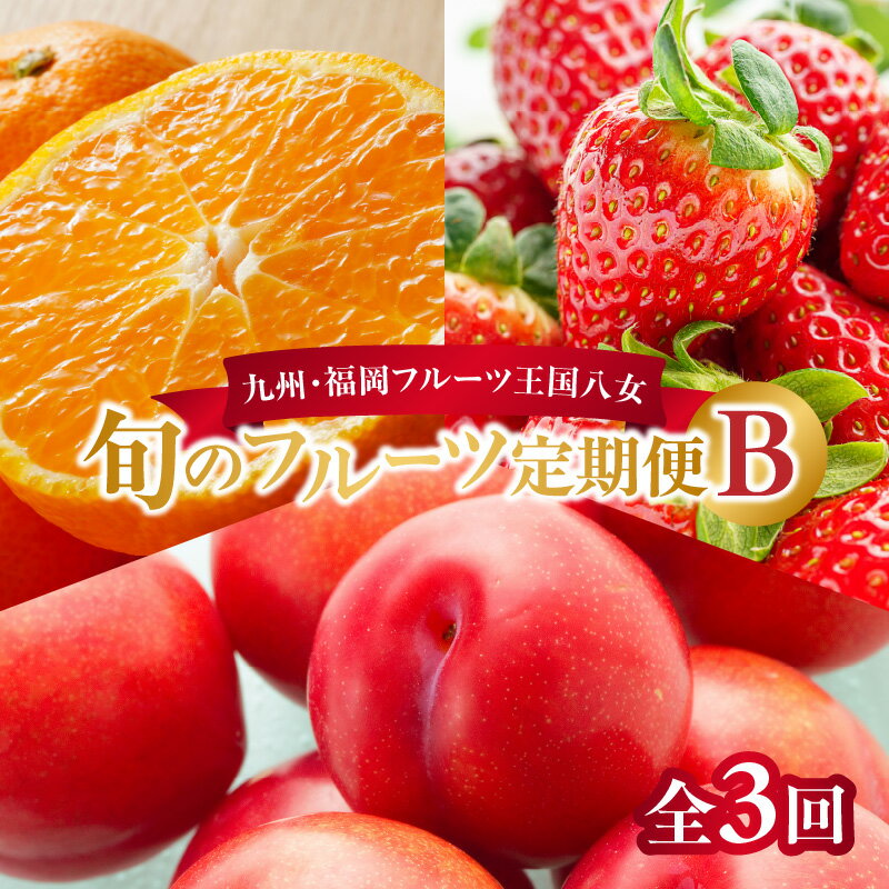 【ふるさと納税】九州・福岡フルーツ王国八女 旬のフルーツ定期便【全3回】 B|<配送不可:北海道・沖縄・離島> いちご 苺 イチゴ あまおう 蜜柑 みかん オレンジ すもも スモモ