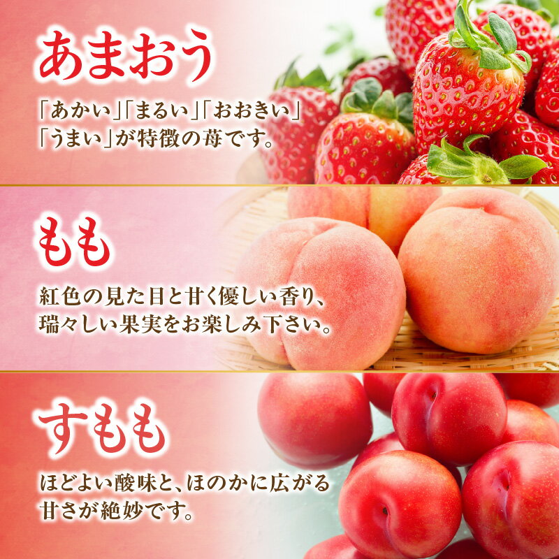 【ふるさと納税】九州・福岡フルーツ王国八女　旬のフルーツ定期便【全3回】 C あまおう いちご 苺イチゴ もも 桃 すもも 果物 フルーツ 定期便 デザート 旬 もぎたて 直送 福岡 八女市