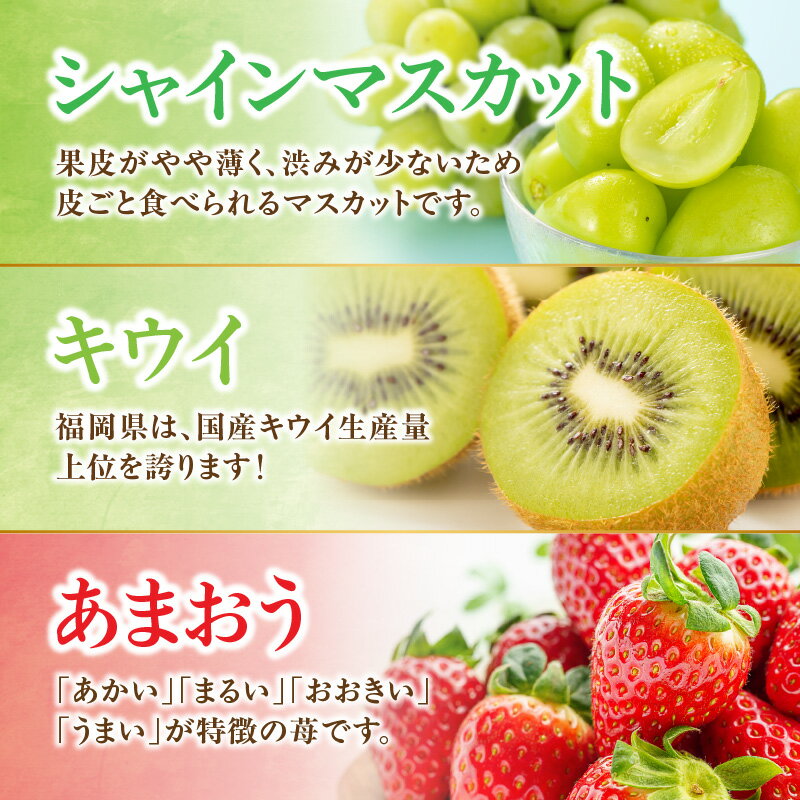 【ふるさと納税】九州・福岡フルーツ王国八女　お楽しみ旬のフルーツ定期便【全3回】 E＜配送不可：北海道・沖縄・離島＞ あまおう いちご 苺 イチゴ キウイ シャインマスカット フルーツ 果物 くだもの 人気 旬 福岡県産 アフター補償 産地直送 福岡県 八女市