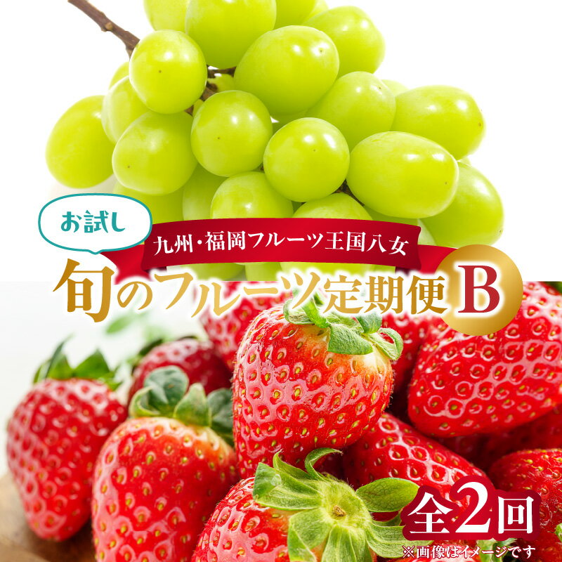 【ふるさと納税】九州・福岡フルーツ王国八女　お試し旬のフルーツ定期便【全2回】 B　あまおう シャインマスカット いちご 苺 果物 先行予約のサムネイル