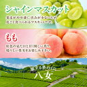 福岡県八女市の画像3