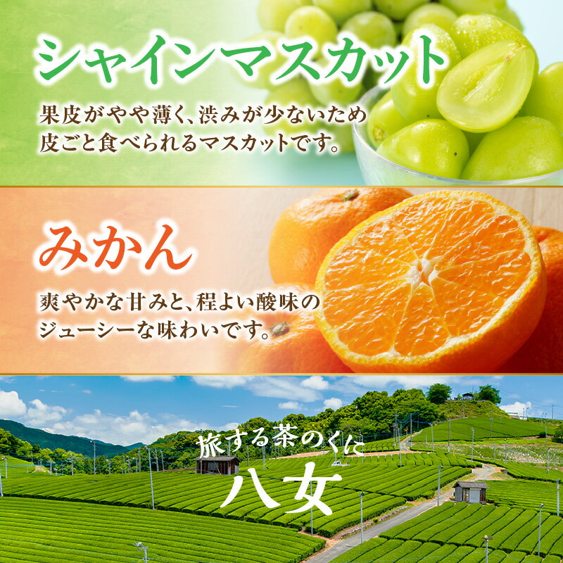 【ふるさと納税】九州・福岡フルーツ王国八女　お試し旬のフルーツ定期便【全2回】 G＜配送不可：北海道・沖縄・離島＞ シャインマスカット みかん フルーツ 旬