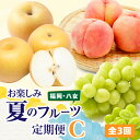 【ふるさと納税】福岡八女 お楽しみ夏のフルーツ定期便C|<配送不可:北海道・沖縄・離島> 桃 もも シャインマスカット 梨 なし フルーツ 旬 デザート