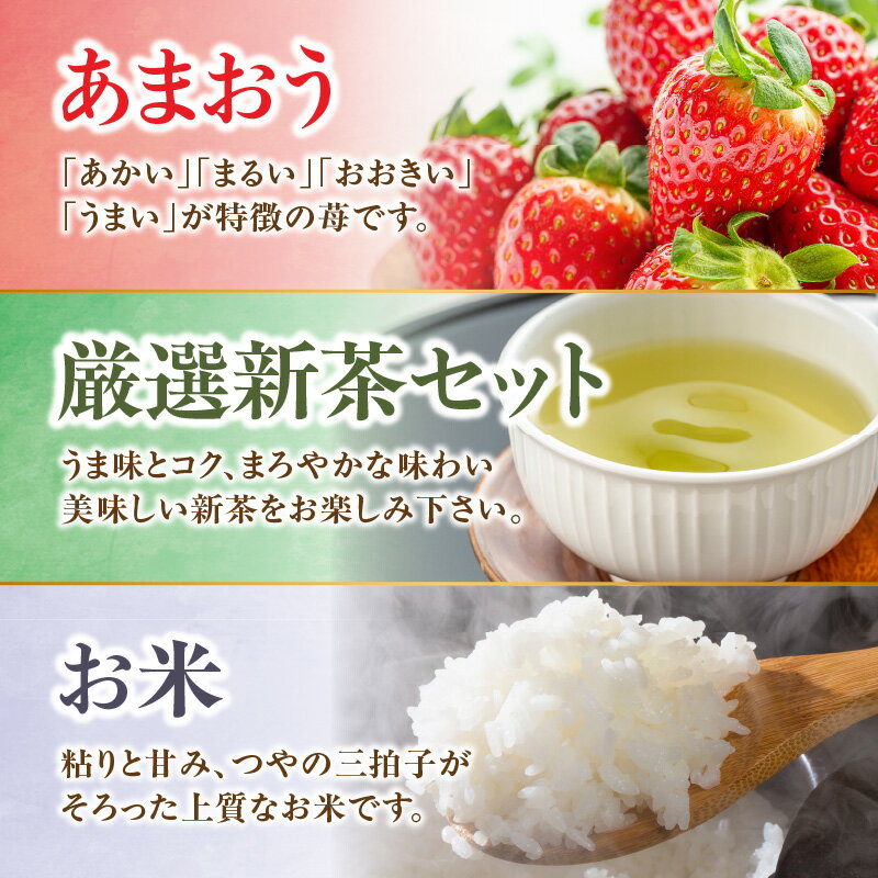 【ふるさと納税】【産直・秀品】和歌山下津みかん約5kg／6kg／9kg（2S／S／2L／混合サイズ）★2025年11月中旬頃より順次発送 | 和歌山 返礼品 お取り寄せグルメ お取り寄せ 取り寄せ グルメ フルーツ 果物 くだもの みかん ミカン みかん 蜜柑 柑橘類 おいしいみかん