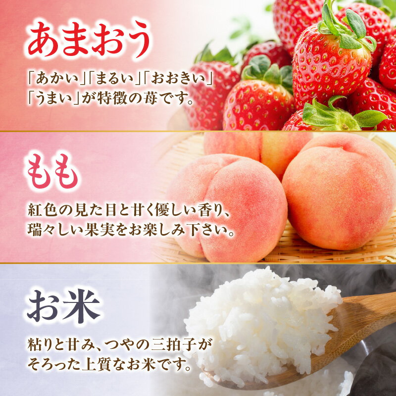 【ふるさと納税】九州・福岡からお届け！八女の恵み定期便【全3回】 C｜＜配送不可：北海道・沖縄・離島＞