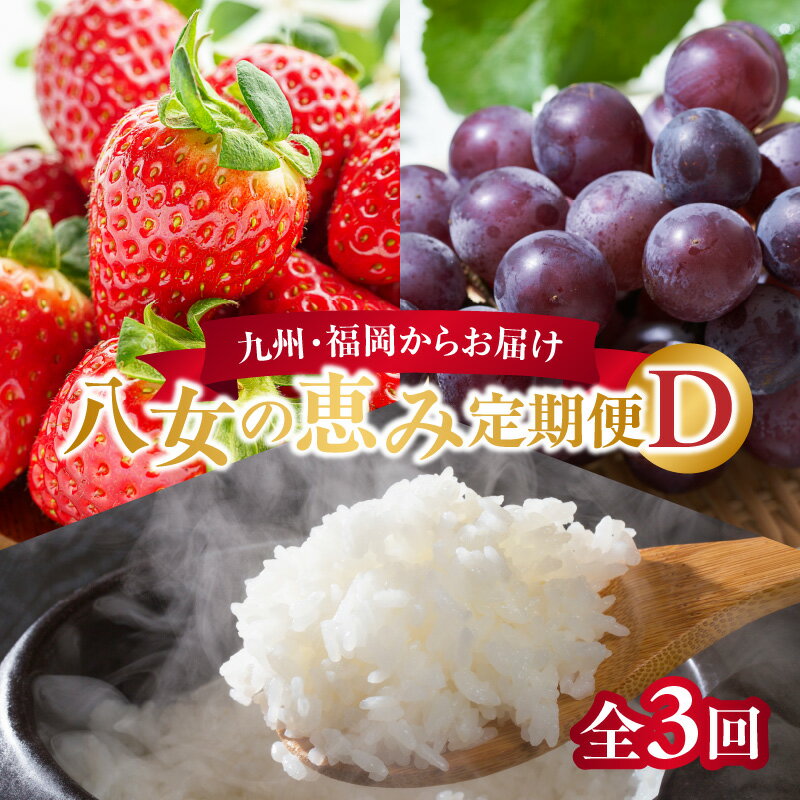 【ふるさと納税】九州・福岡からお届け！八女の恵み定期便【全3回】 D｜＜配送不可：北海道・沖縄・離島＞　お米 白米 いちご あまおう ぶどう 巨峰 フルーツ 果物 グルメのサムネイル