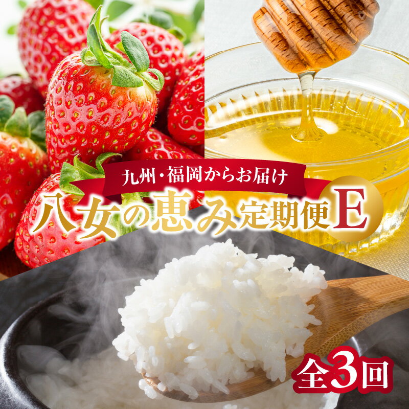 【ふるさと納税】九州・福岡からお届け！八女の恵み定期便【全3回】 E｜＜配送不可：北海道・沖縄・離島＞　いちご あまおう お米 白米 はちみつ 蜂蜜