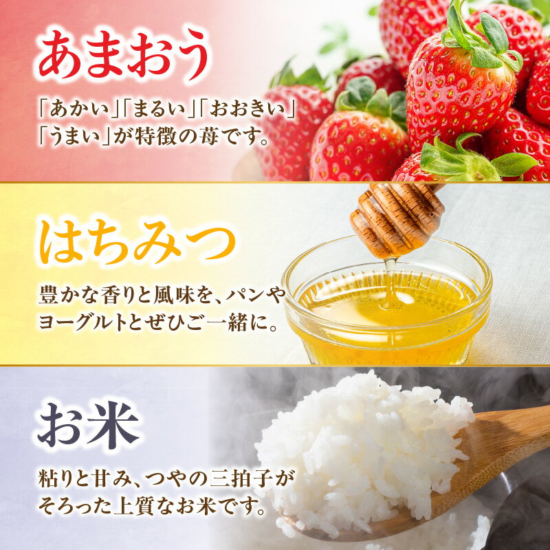 【ふるさと納税】九州・福岡からお届け！八女の恵み定期便【全3回】 E｜＜配送不可：北海道・沖縄・離島＞　いちご あまおう お米 白米 はちみつ 蜂蜜
