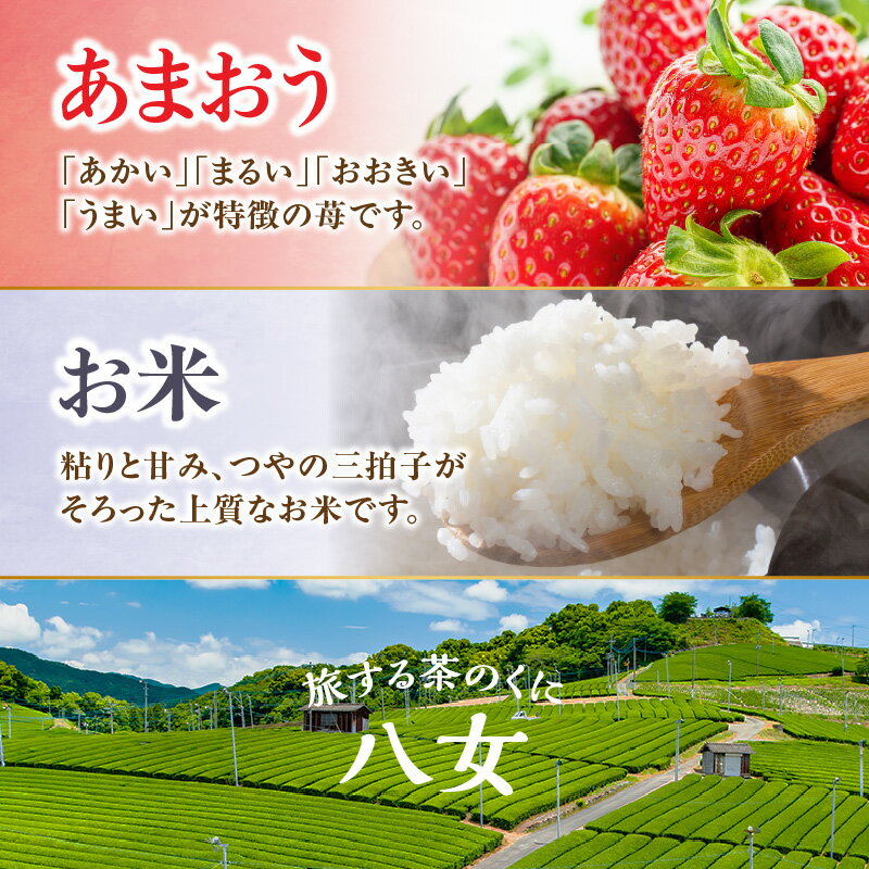 【ふるさと納税】九州・福岡からお届け！八女の恵み定期便お試し【全2回】A