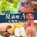 【ふるさと納税】福岡・八女「夏」満喫定期便プレミアム全5回A<配送不可:北海道・沖縄・離島> 桃 もも アイス 博多和牛 和牛 焼肉 梨 シャインマスカット フルーツ お肉