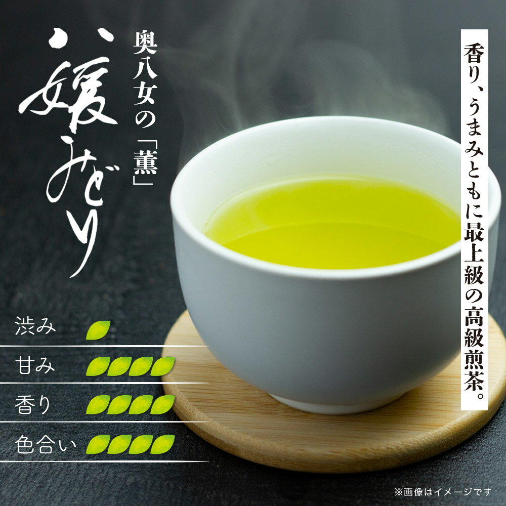 【ふるさと納税】【お試し】高級茶・八女茶の老舗　古賀製茶本舗　奥八女の「薫」八媛みどり　煎茶　100g【メール便】 煎茶 八女茶 お茶 茶 高級 ポスト投函 簡易包装 訳あり