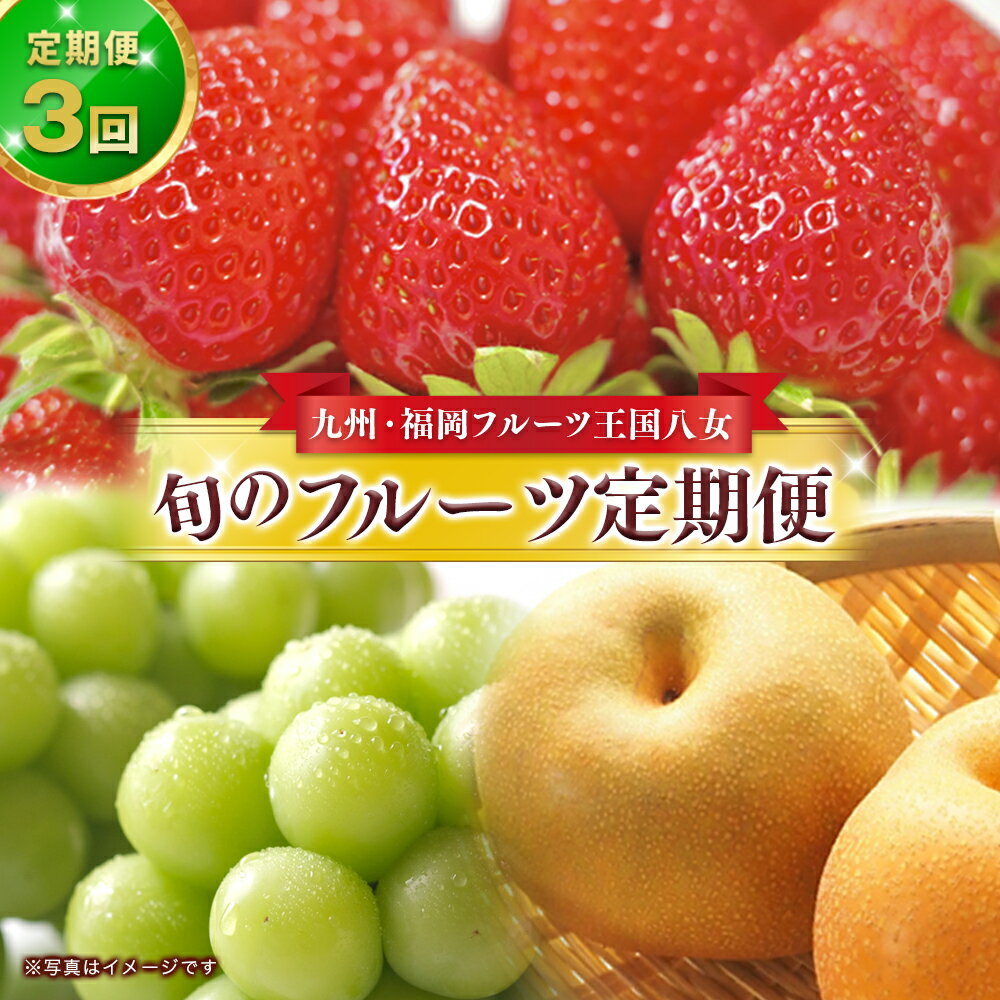 29位! 口コミ数「10件」評価「2.7」九州・福岡フルーツ王国八女　お楽しみ旬のフルーツ定期便【全3回】 あまおう シャインマスカット 梨 いちご 苺 なし 果物 3万円 先行予約