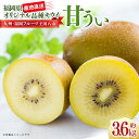 【ふるさと納税】福岡限定品種キウイ「甘うぃ」約3.6kg