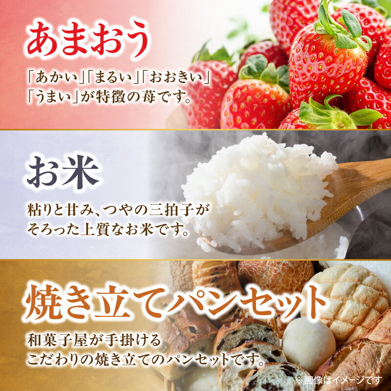 【ふるさと納税】九州・福岡からお届け！八女の恵み定期便【全3回】H