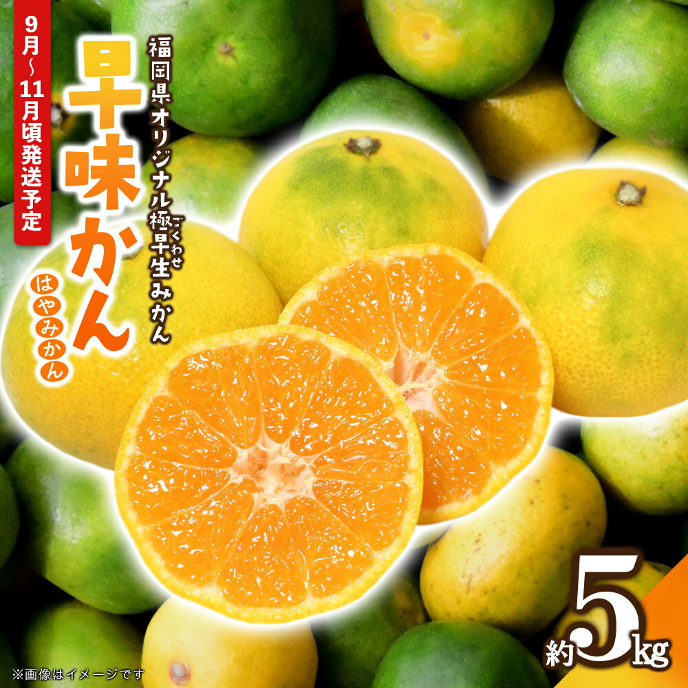 [先行受付]2025年の秋に配送!福岡県オリジナル品種極早生みかん『早味かん』約5kg[配送不可:北海道・沖縄・離島] 果物 フルーツ ミカン おいしい 八女