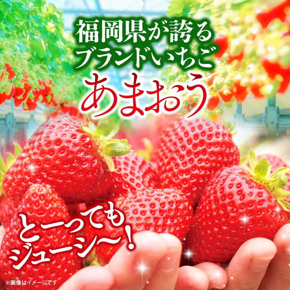 【ふるさと納税】【★先行受付★2026年3月配送開始】福岡・博多名物ブランドいちご「あまおう」 4パック 合計約1,080g ＜配送不可：北海道・沖縄・離島＞ いちご 苺 イチゴ フルーツ 果物 くだもの 人気 旬 福岡県産 270g アフター補償 産地直送 冷蔵配送 福岡県 八女市