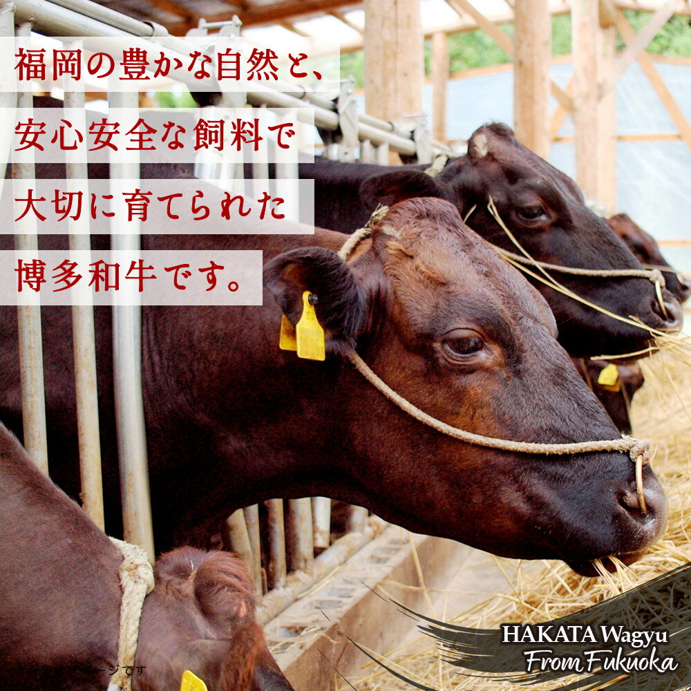【ふるさと納税】【選べる内容量】博多和牛 すき焼き用ロース （約400g・約600g・約800g） 福岡県 八女市 肉 お肉 和牛 牛 牛肉 すき焼き しゃぶしゃぶ 肉じゃが チンジャオロース 家庭料理 料理