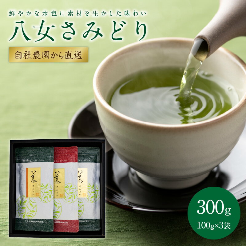 [自社農園から直送]鮮やかな水色に素材を生かした味わい 八女さみどり三本ギフト 茶 お茶 八女茶 緑茶 ギフト 贈り物
