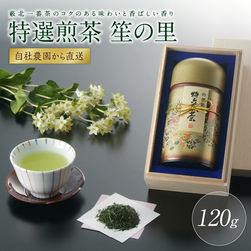 [自社農園から直送]藪北一番茶のコクのある味わいと香ばしい香り 笙の里 煎茶 緑茶 お茶 茶