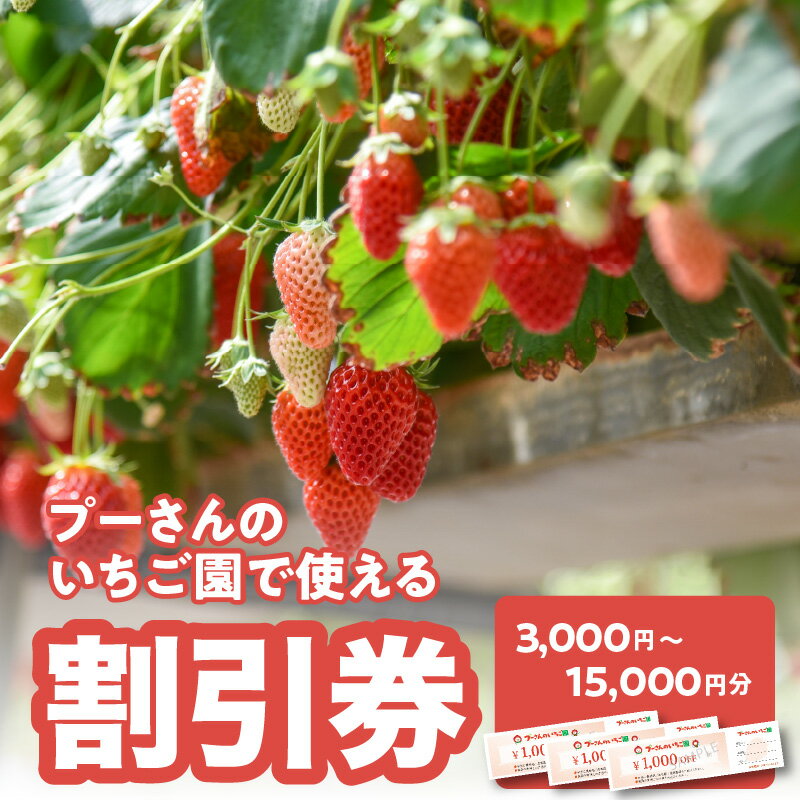 【ふるさと納税】プーさんのいちご園　割引券（3,000円分〜15,000円分） 福岡県 八女市 イチゴ狩り 割引 チケット いちご イチゴ 苺のサムネイル