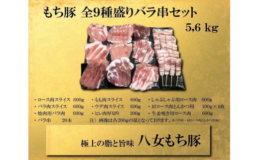 八女もち豚9種盛り+豚バラ串20本セット 肉 お肉 豚肉 豚バラ 串 ロース もも肉 しゃぶしゃぶ バラ ウデ 肩ロース 八女 豚