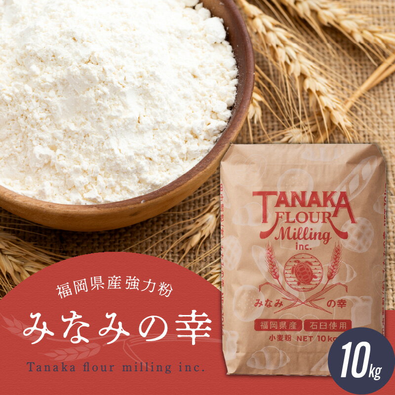 福岡県産強力粉「みなみの幸」10kg 福岡県産 強力粉 国産 パン ピザ 小麦 ホームベーカリー 製パン