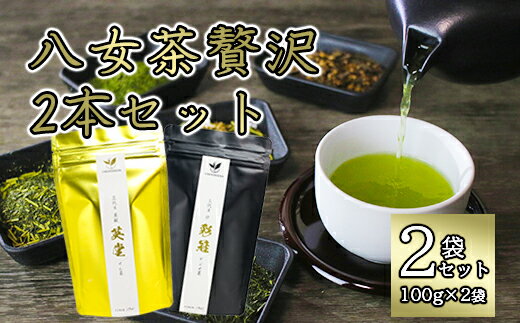 八女茶贅沢2本セット(100g×2袋) お茶 緑茶 国産 日本茶 煎茶 かぶせ茶 伝統製法 上品 香 福岡県 八女市