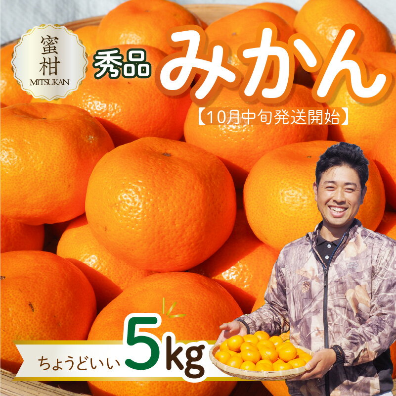 【ふるさと納税】蜜柑（みつかん）秀品みかん ちょうどいい5kg【10月中旬発送開始】ご自宅用 贈答用 産地直送 果物 フルーツのサムネイル