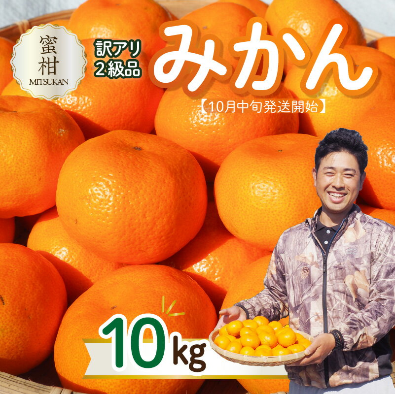 【ふるさと納税】【訳あり】蜜柑（みつかん）2級品みかん 10kg【10月中旬発送開始】ご家庭用 自宅用 完熟みかん 訳ありみかん 農家直送 果物 フルーツのサムネイル