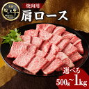 【ふるさと納税】《レビューキャンペーン》 【牛肉】 船小屋牛 肩ロース 焼肉 《筑後》選べる内容量(500g・1kg)【冷凍】 焼肉 肩ロース バーベキュー よ...