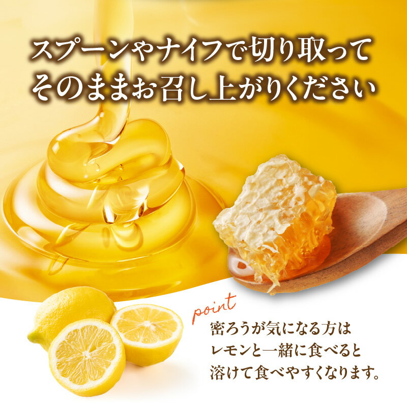 【ふるさと納税】【TVで紹介！】はちみつ 国産 極巣みつ 310g ミツバチ 巣 蜂蜜 巣みつ 自然 貯蔵 鮮度 味 栄養 極上 香り 形 福岡県 八女市