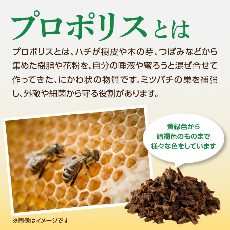 【ふるさと納税】プロポリス入りはちみつ 240g はちみつ ハチミツ 蜂蜜 ハニー 贈り物
