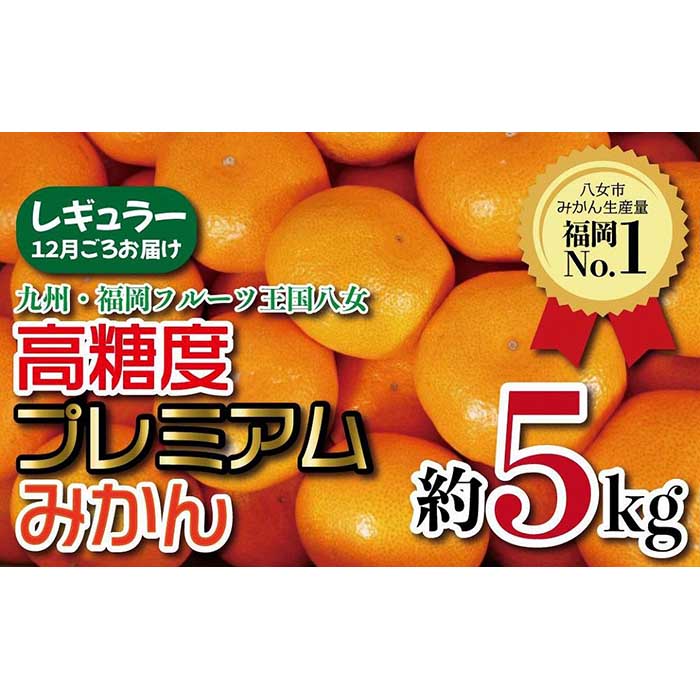 [2024年12月〜配送開始]九州福岡フルーツ王国八女 高糖度プレミアムみかん[レギュラー]約5kg[配送不可:北海道・沖縄・離島] 果物 フルーツ ミカン 福岡 八女 甘い 大きめ