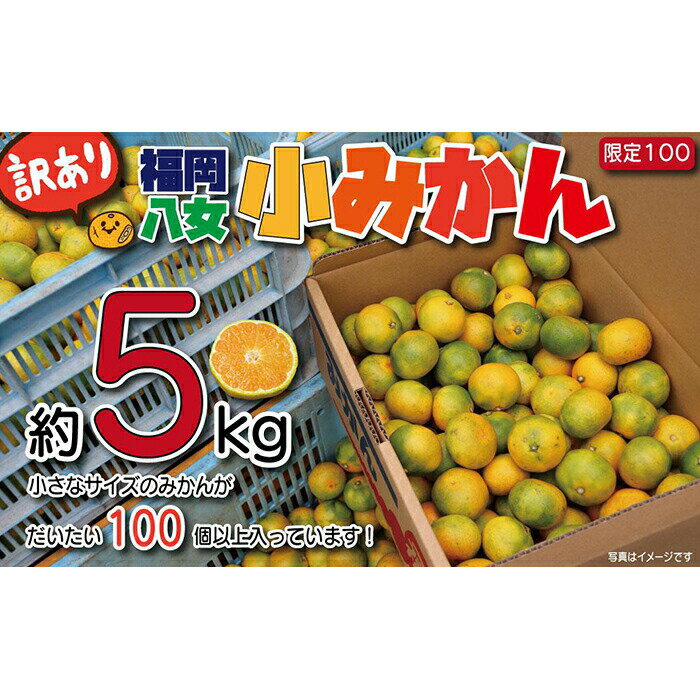 【ふるさと納税】【先行受付】＜訳あり！＞九州・福岡フルーツ王国八女　品種おまかせ・訳あり！かわいいサイズのみかん約5kg｜＜配送不可：北海道・沖縄・離島＞のサムネイル