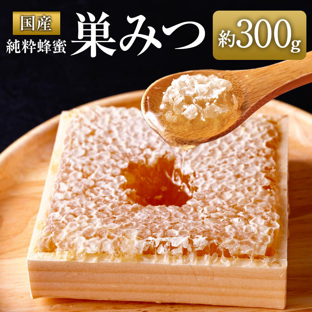 【ふるさと納税】国産純粋 巣みつ 300g（九州蜂の子本舗）蜂蜜 はちみつ ハチミツ 国産 デザート ビタミン ミネラル