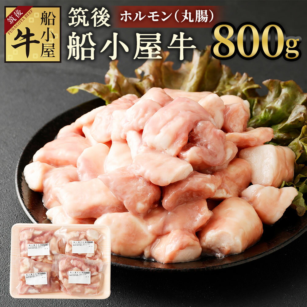 筑後 船小屋牛 ホルモン 丸腸 合計800g 200g×4パック 小分け 牛肉 お肉 もつ 焼肉 もつ鍋 冷凍 福岡県産 国産 送料無料