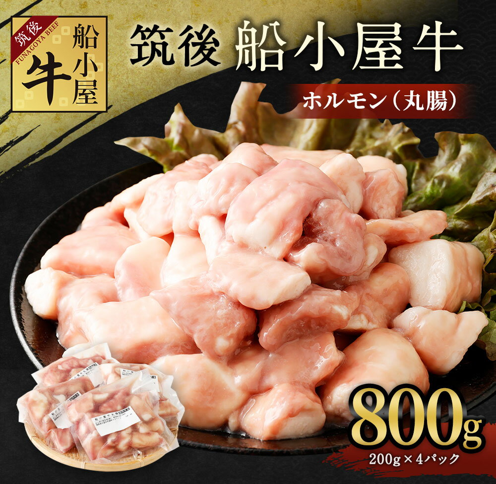 【ふるさと納税】筑後 船小屋牛 ホルモン 丸腸 合計800g 200g×4パック 小分け 牛肉 お肉 もつ 焼肉 もつ鍋 冷凍 福岡県産 国産 送料無料