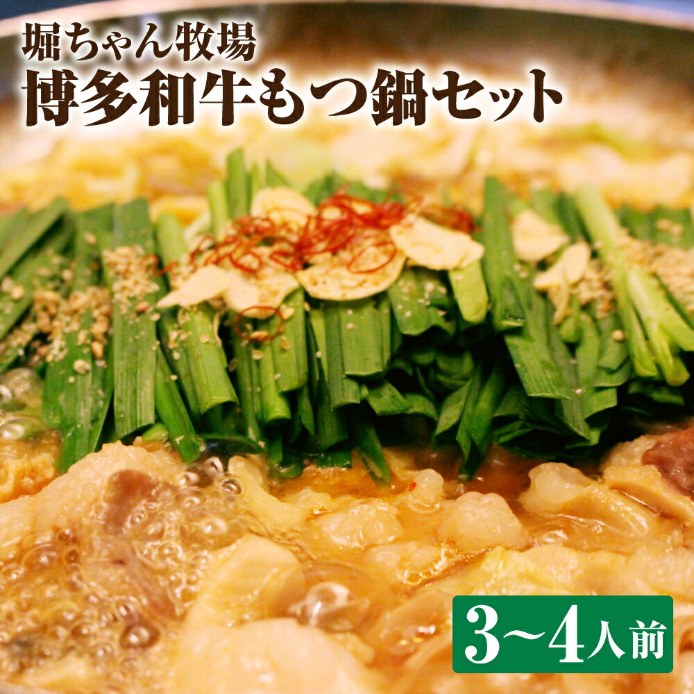 堀ちゃん牧場 博多和牛もつ鍋セット 3〜4人前 ホルモン 400g モツ ちゃんぽん麺付き チャンポン麺 冷凍 送料無料