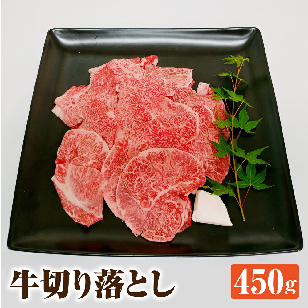 牛切り落とし 450g 和牛 牛肉 お肉 すき焼き 野菜炒め 肉じゃが カレー 福岡県産 国産 冷凍 送料無料