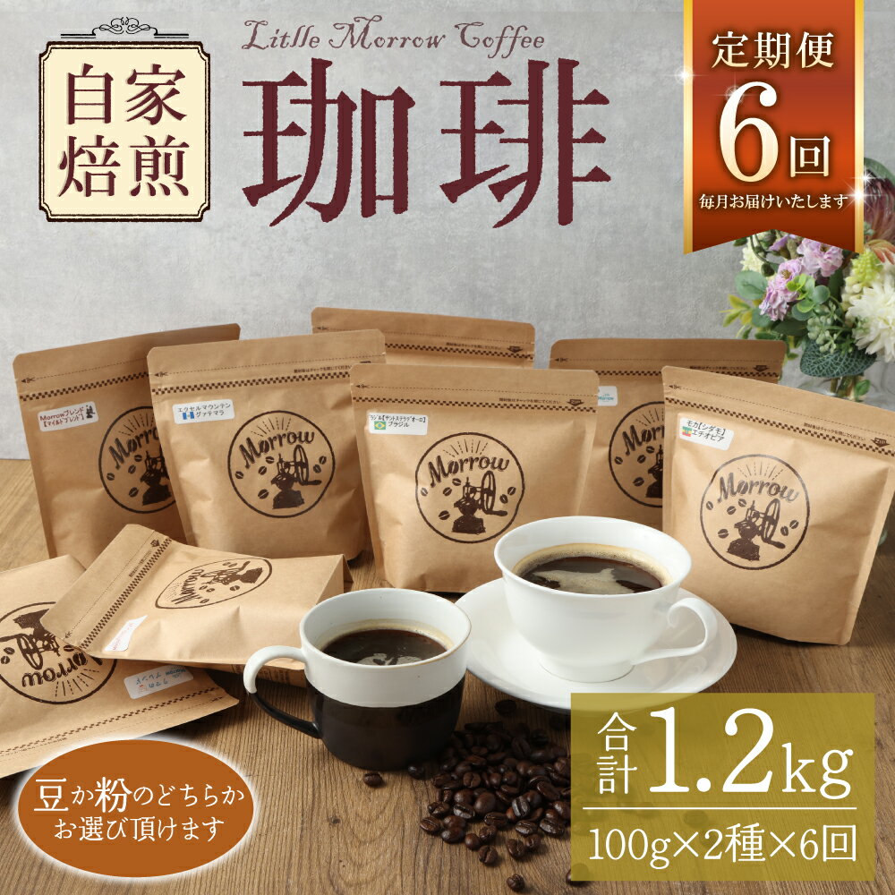 【ふるさと納税】【定期便6ヶ月】自家焙煎 珈琲 Little Morrow 6ヶ月 100g×2種×6回 合計1200g コーヒー 珈琲豆 ブレンド ブレンドコーヒー 福岡県 筑後市 送料無料