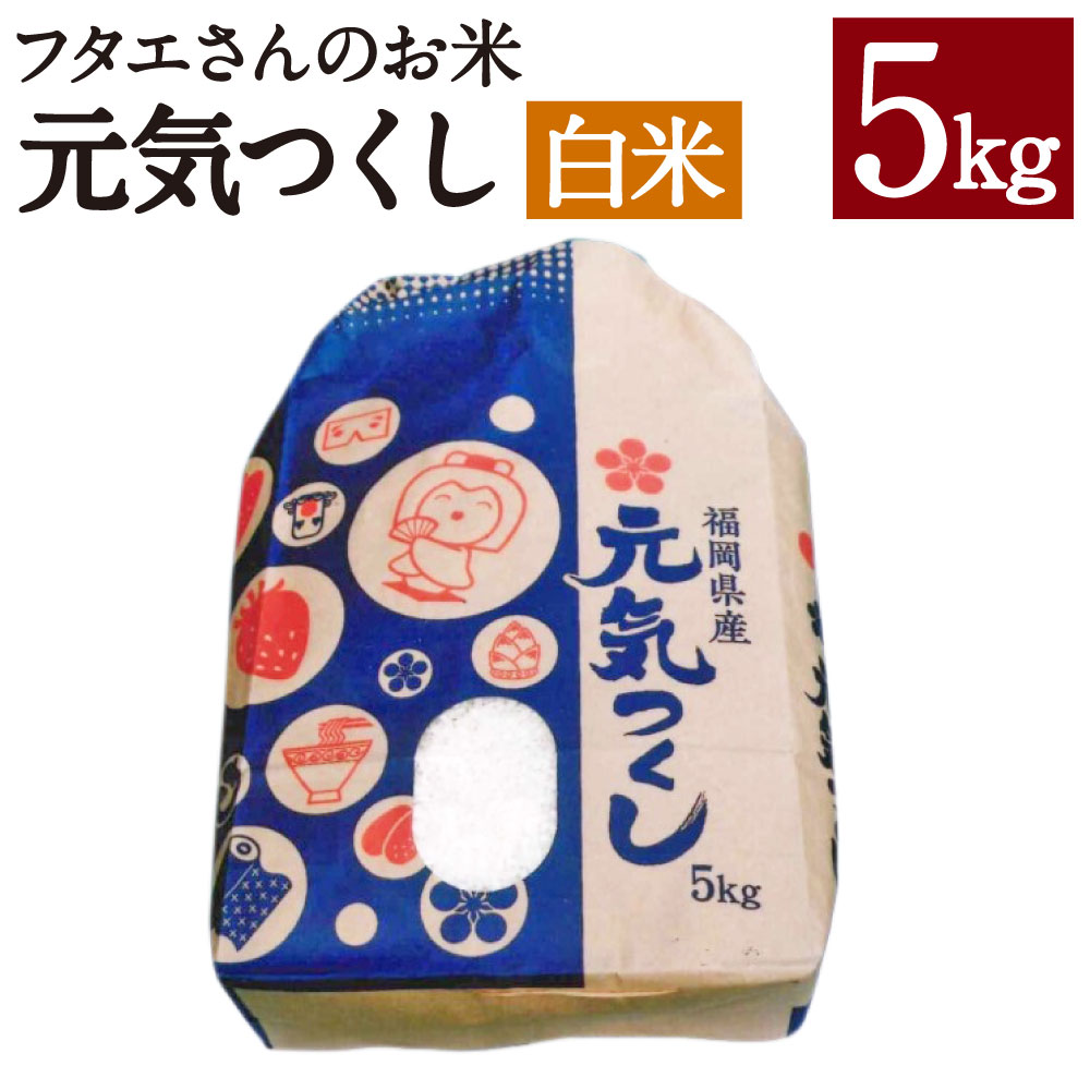 フタエさんのお米 元気つくし 白米 5kg 米 お米 精米 うるち米 福岡県産 九州産 送料無料
